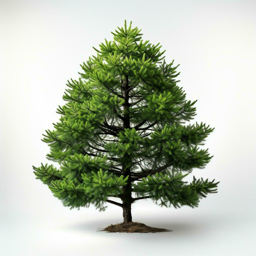 AI generated Green small pine tree on white background photo