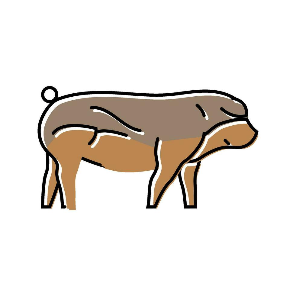 duroc cerdo raza color icono vector ilustración