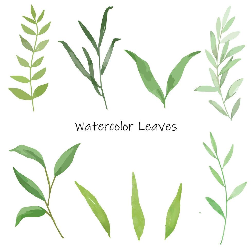 Set of watercolor green leaves elements vector