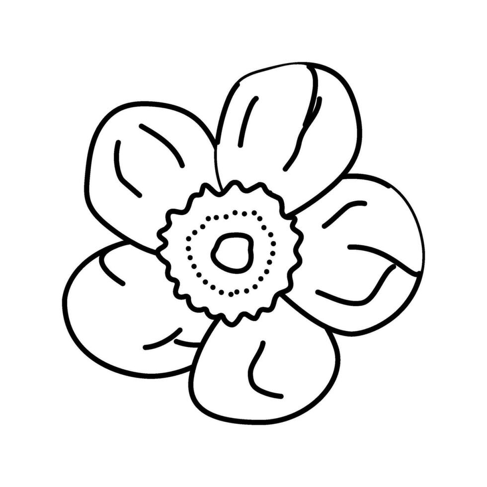 buttercup blossom spring line icon vector illustration