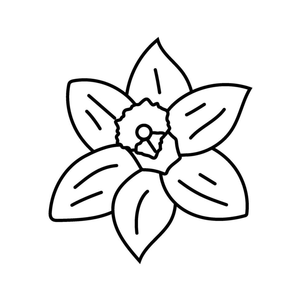 daffodil flower spring line icon vector illustration