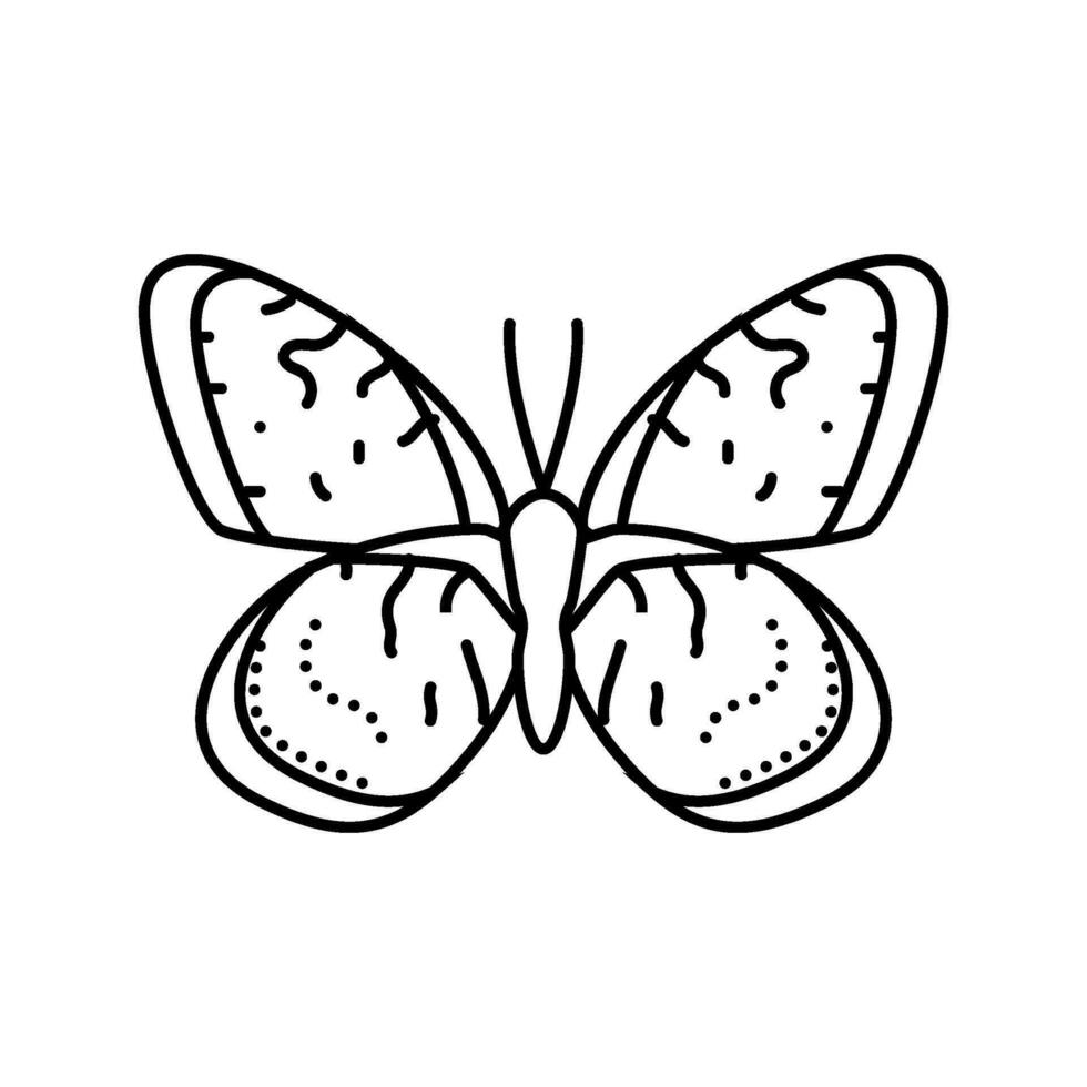 regal fritillary summer line icon vector illustration