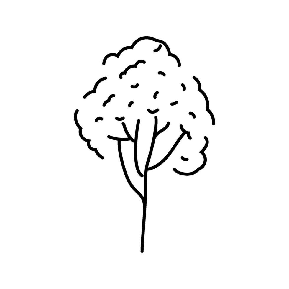 rubber tree jungle amazon line icon vector illustration