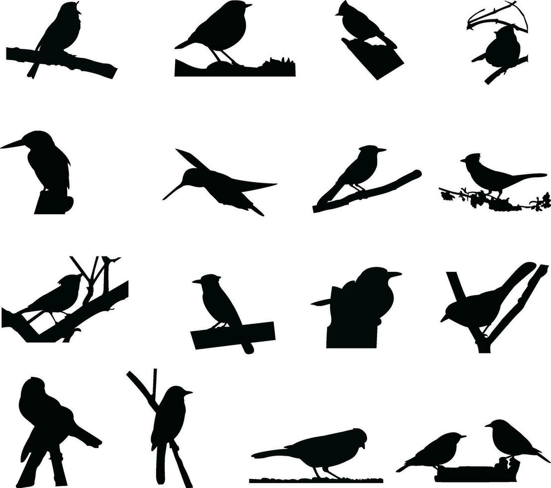 conjunto de aves silueta diseño en blanco antecedentes vector