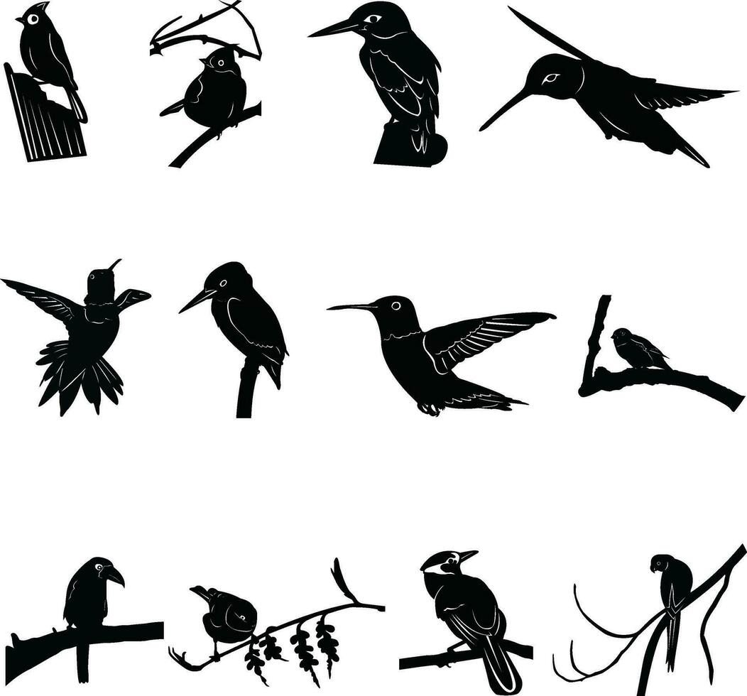 conjunto de aves silueta diseño en un blanco antecedentes vector