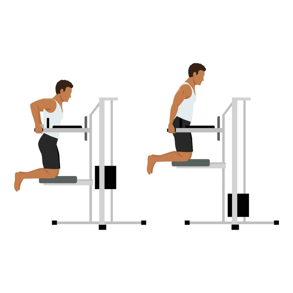 Man doing dips on parallel bars in the gym exercise. vector