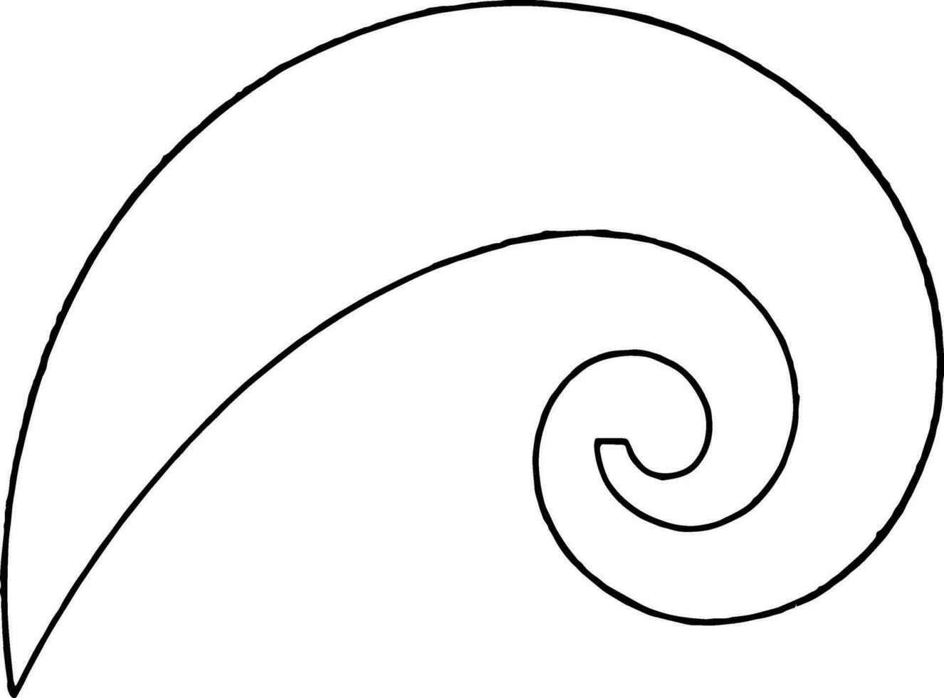 Logarithmic Spiral Curve French Curve radius curves by using points vintage engraving. vector