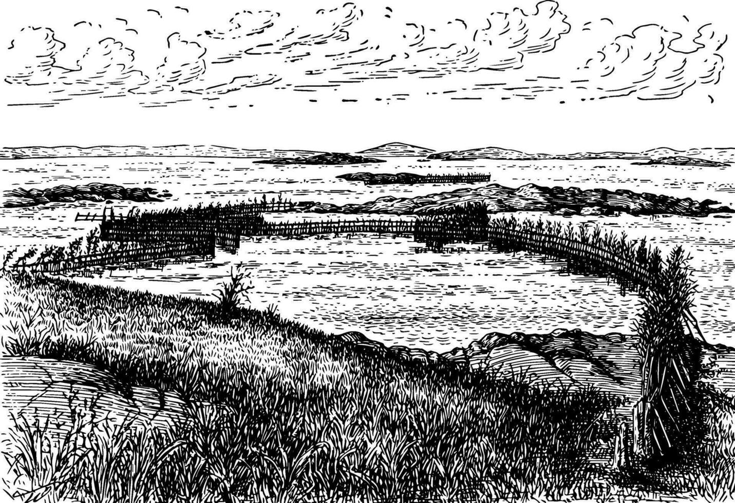 Herring Weir, vintage illustration. vector