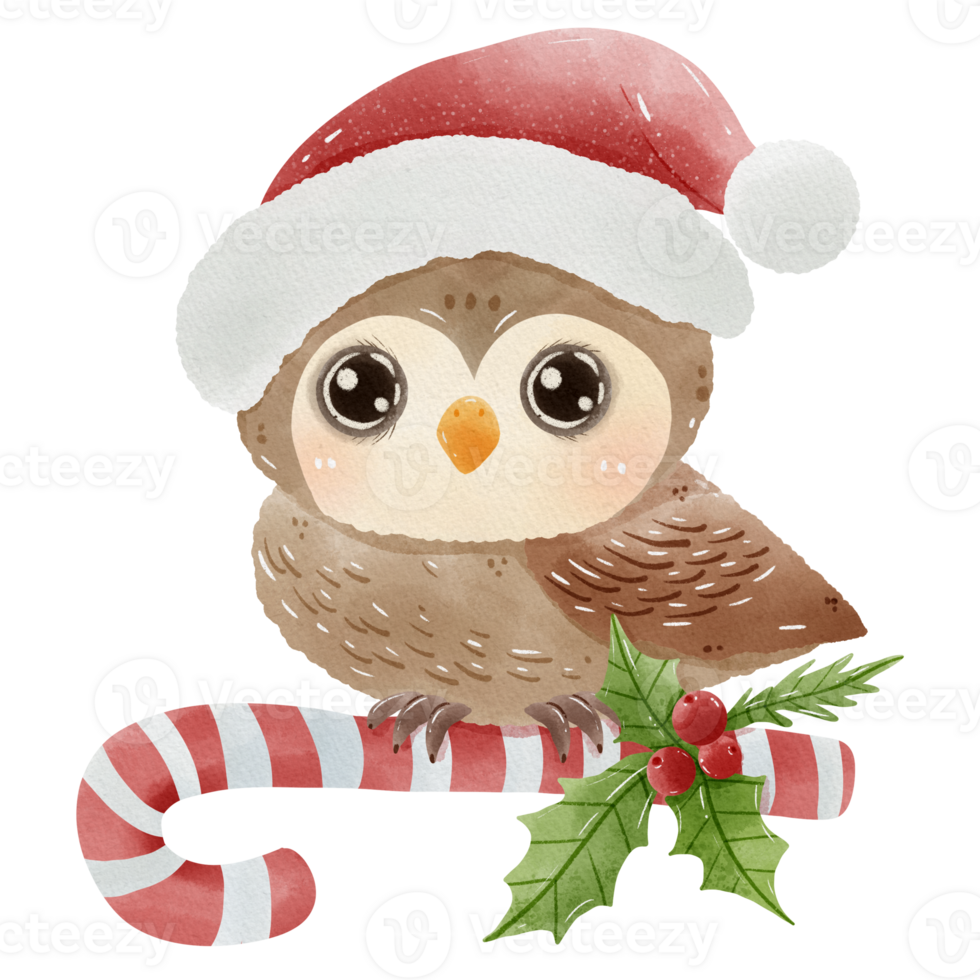 Watercolor woodland animals illustration hand drawn Owl with santa hat and candy cane holly branch   christmas deco, printable, nursery, greeting cards, Holiday decoration and cute wild animal. png