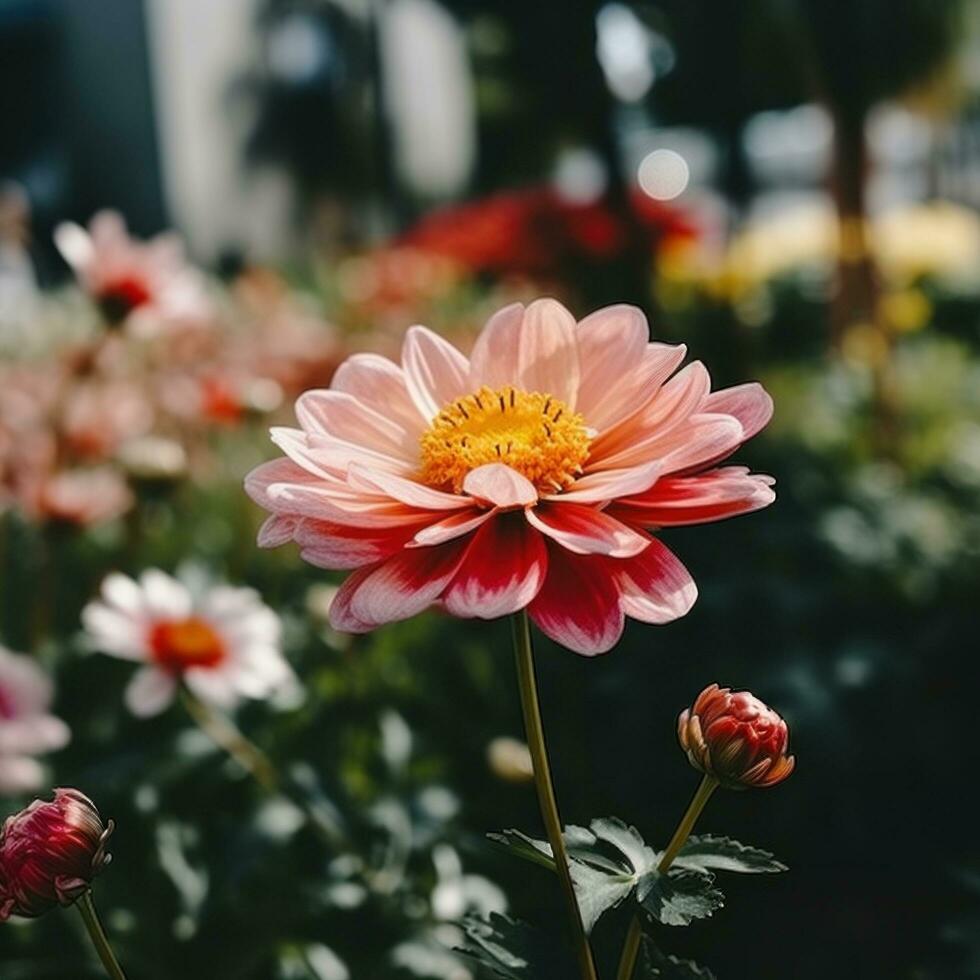 AI generated a blooming flower in a garden with a blurred background of other plants photo