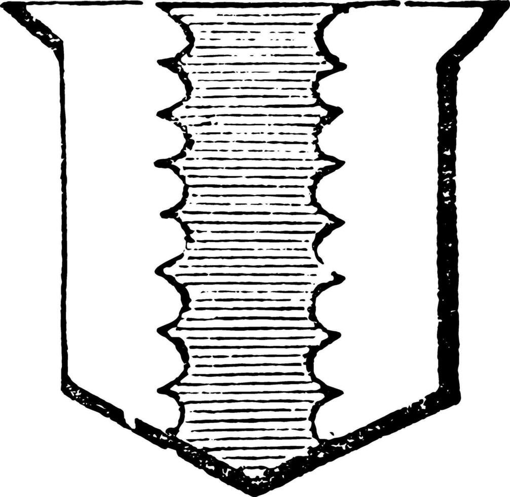 Pale Engrailed have object being edged with small semi-circles, vintage engraving. vector