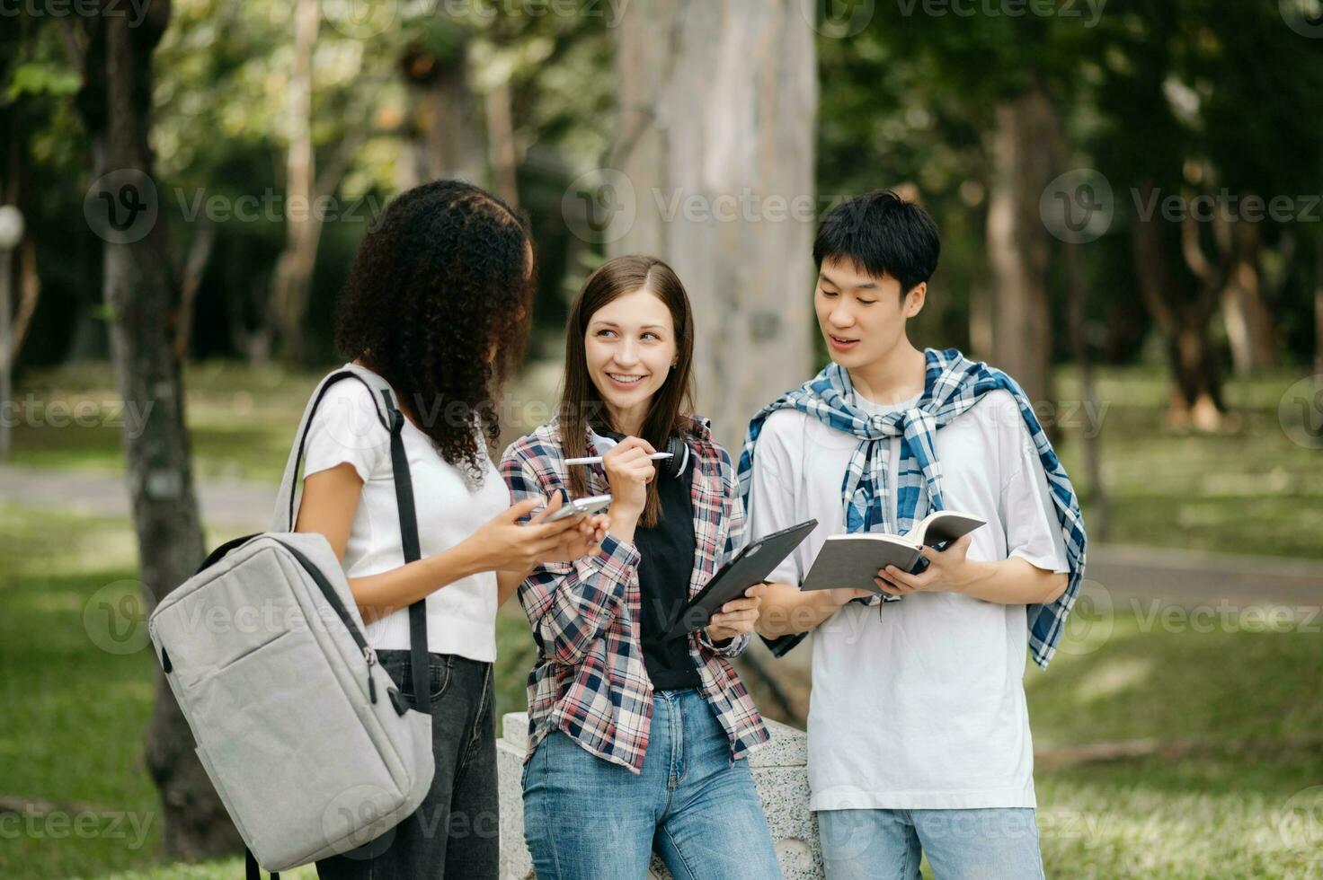 joven Universidad estudiantes y un hembra estudiante grupo trabajo a el instalaciones parque foto