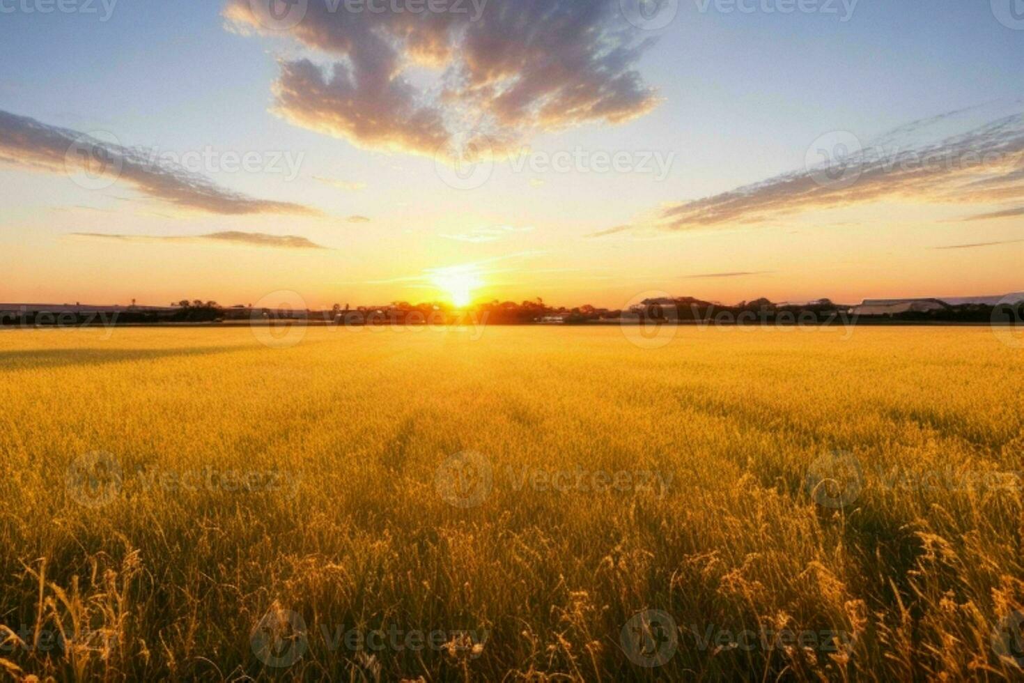 ai generado dorado hora puesta de sol en el campo. Pro foto