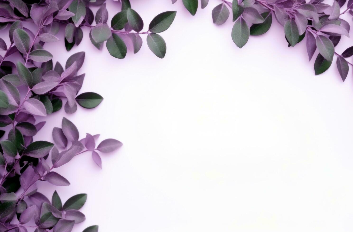 AI generated lilacs frame on a white background flower photo