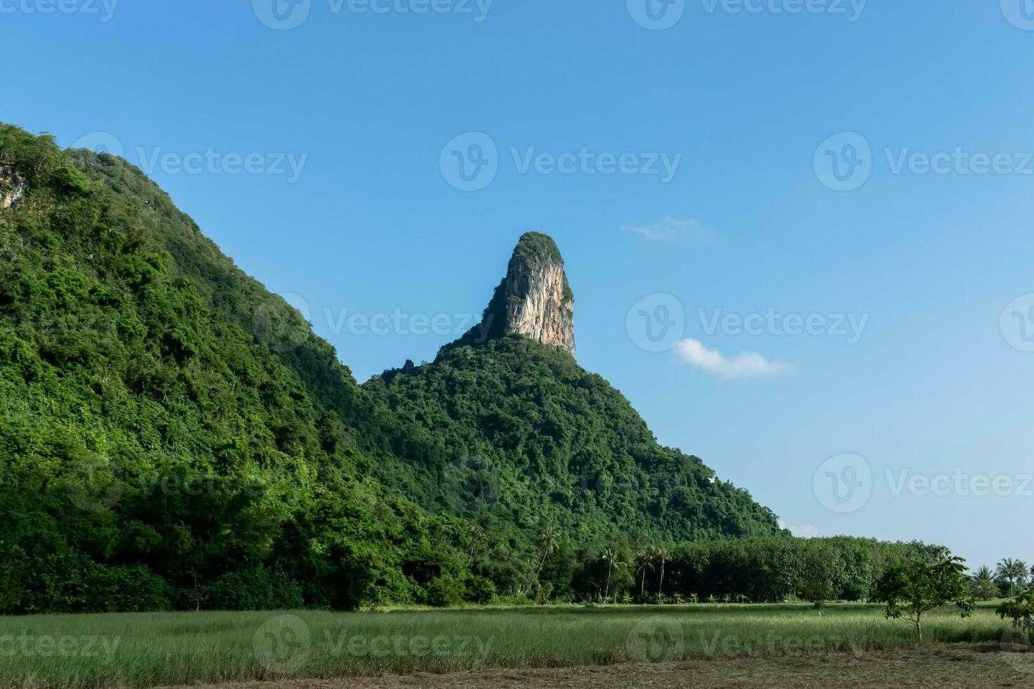 Limestone mountain with green tree and blue sky. photo