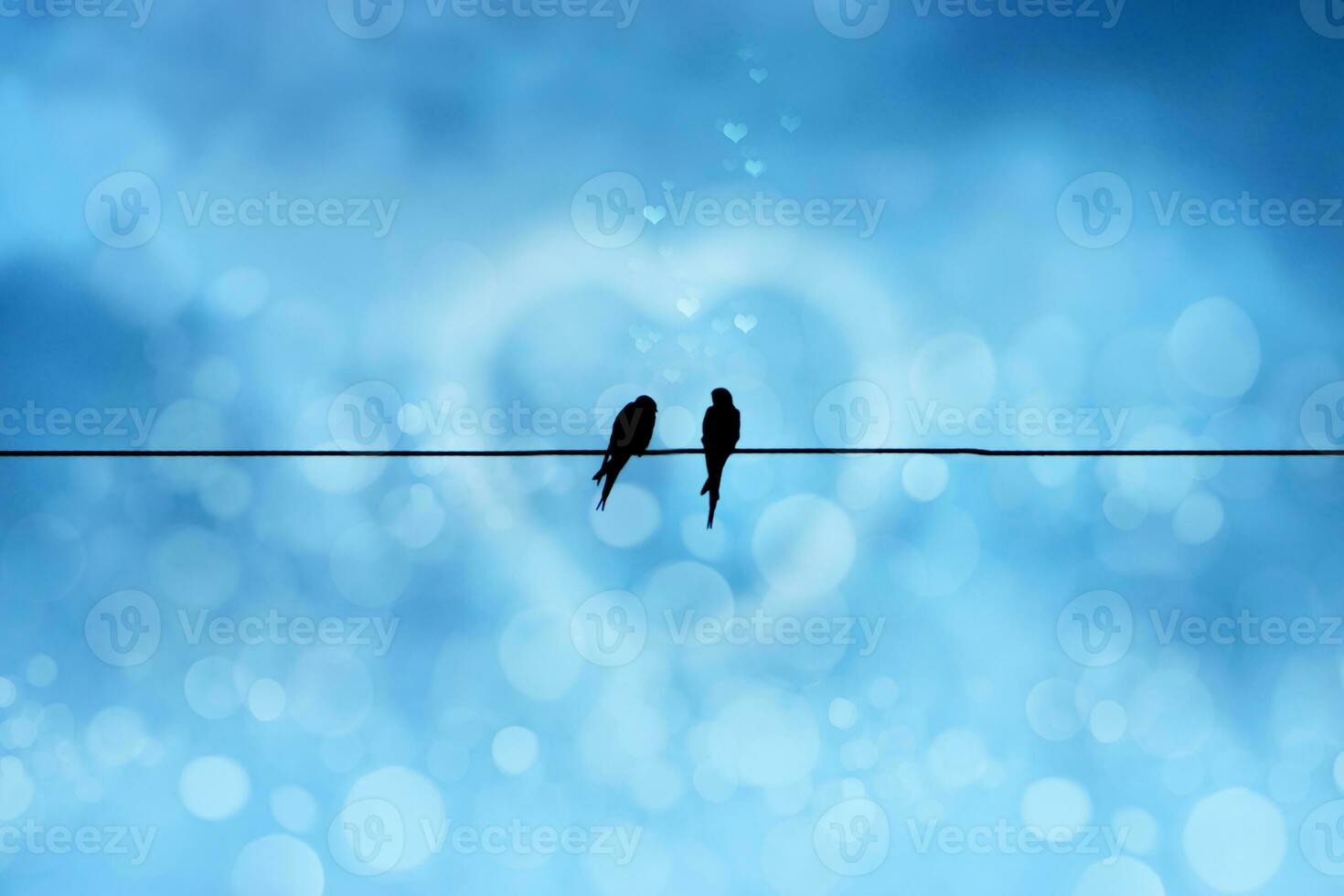 Silhouettes of minimal bird on power lines. photo