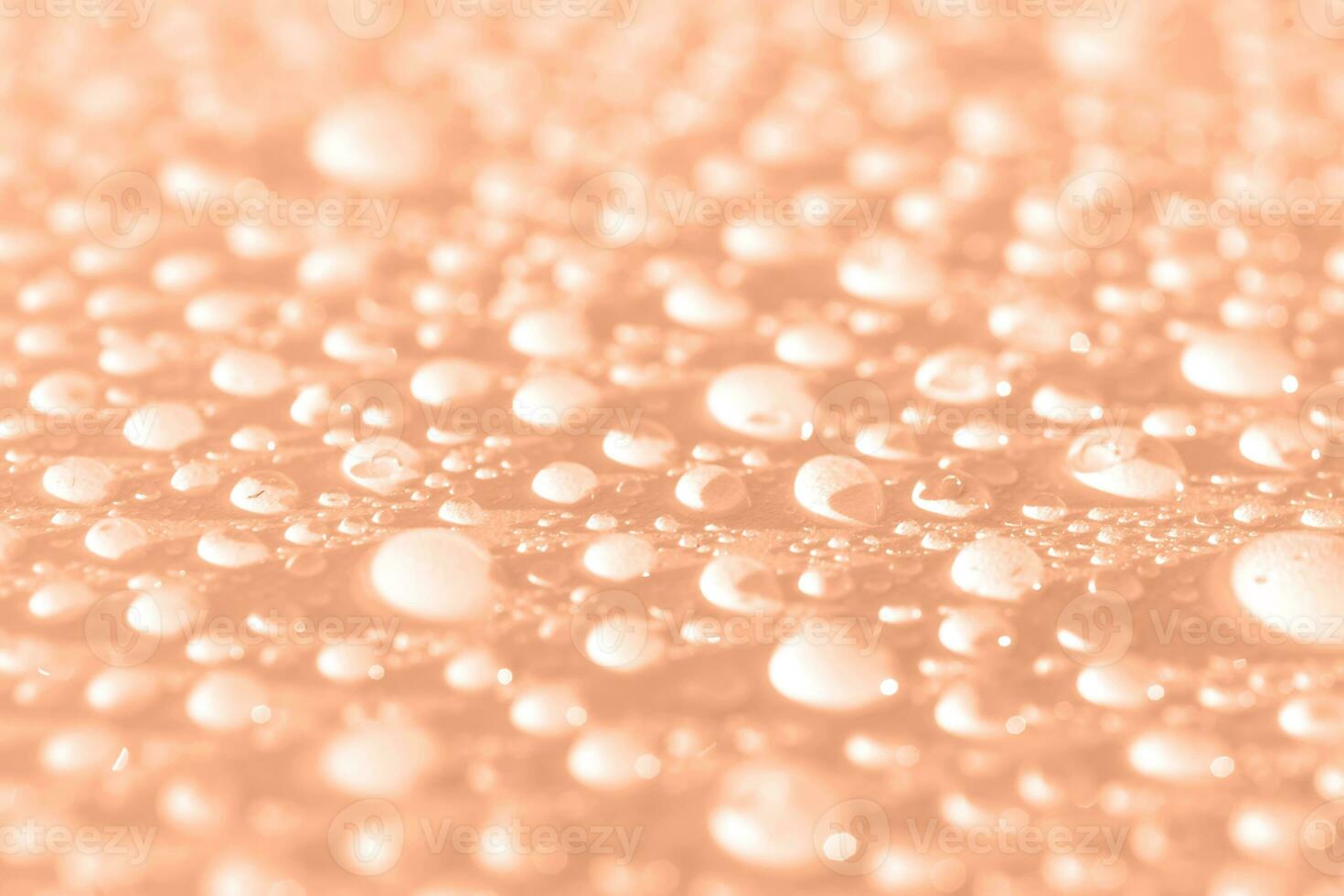 Lots of drops on a Peach Fuzz background. photo