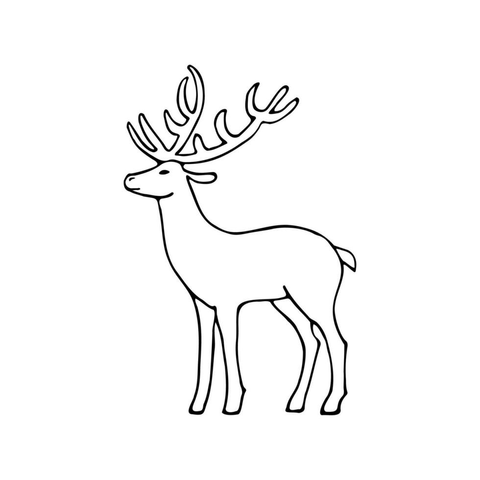 Vector black and white illustration on a white background in cartoon style. Reindeer hand drawn doodle.