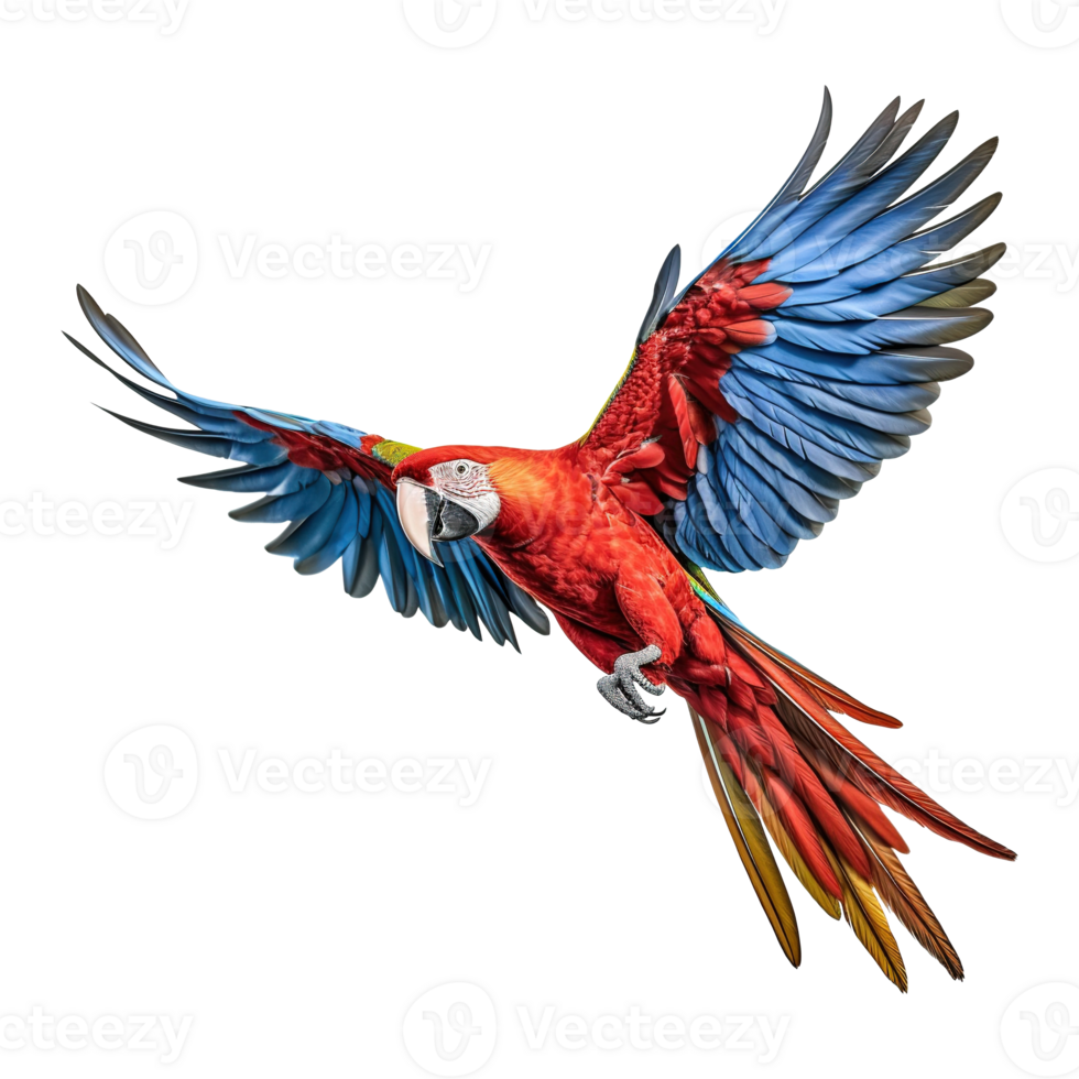 AI generated Scarlet macaw parrot flying on transparent background png