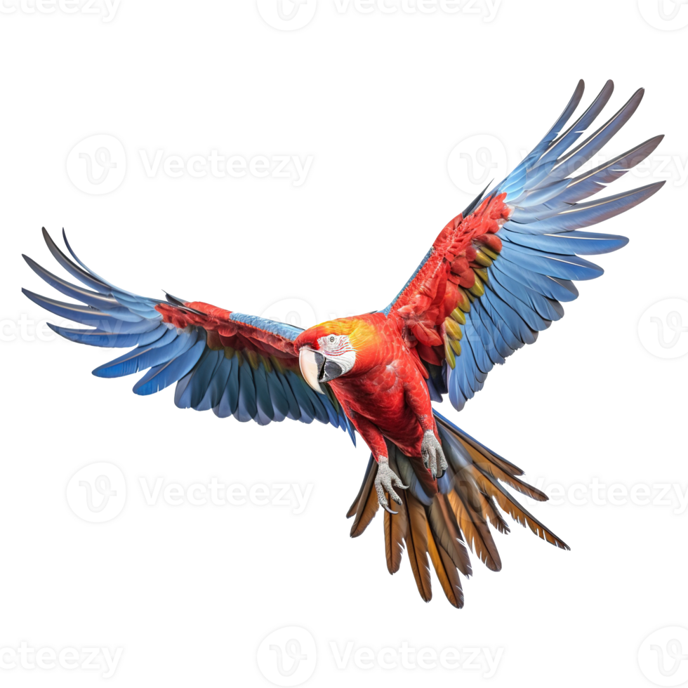 AI generated Scarlet macaw parrot flying on transparent background png