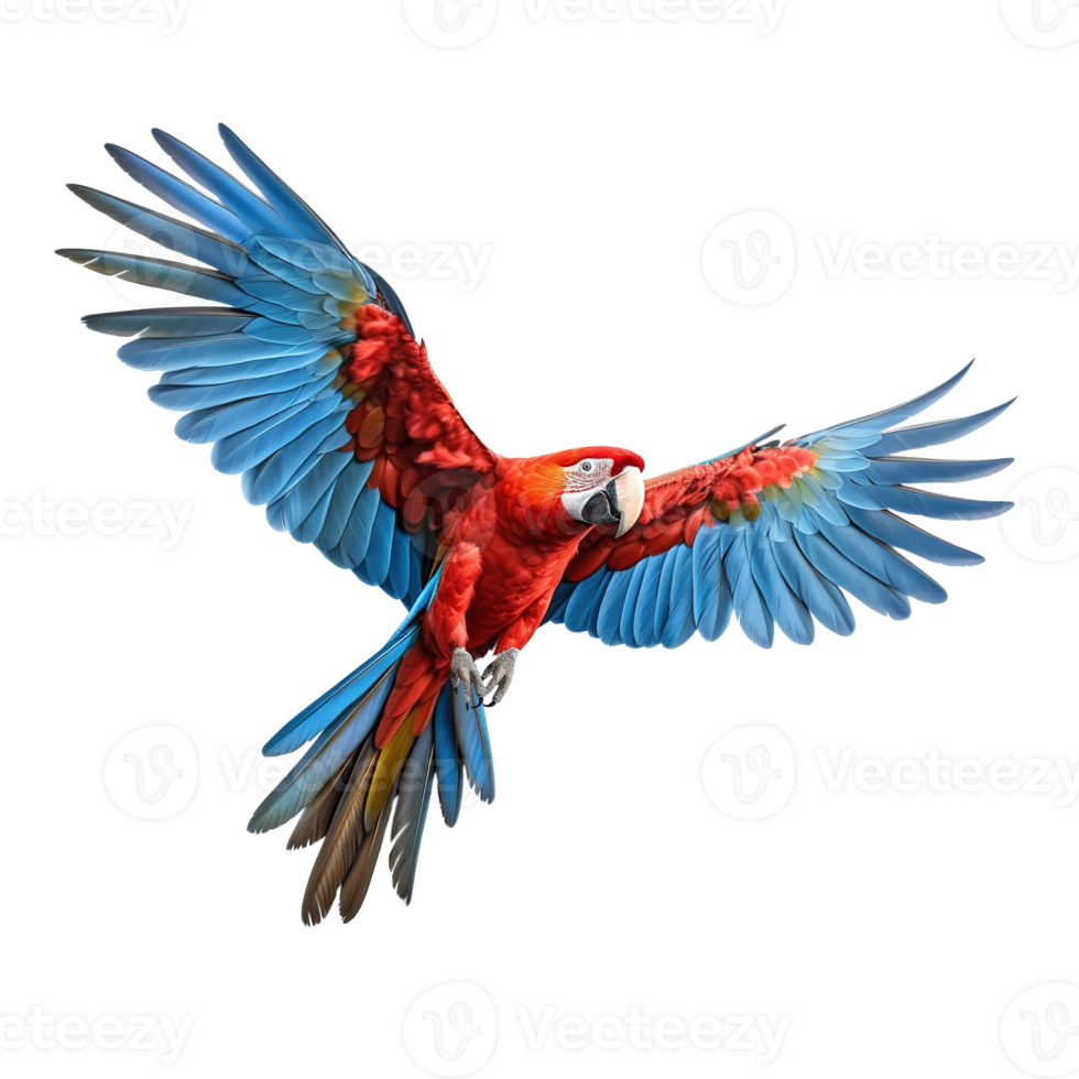 AI generated Scarlet macaw parrot flying on transparent background png