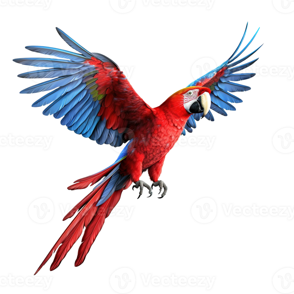 AI generated Scarlet macaw parrot flying on transparent background png