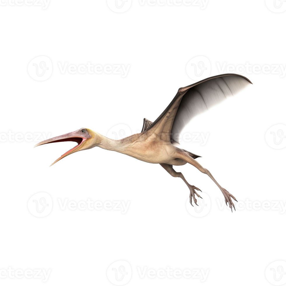 ai genererad pteranodon, pterodactylus dinosaurie på transparent bakgrund png