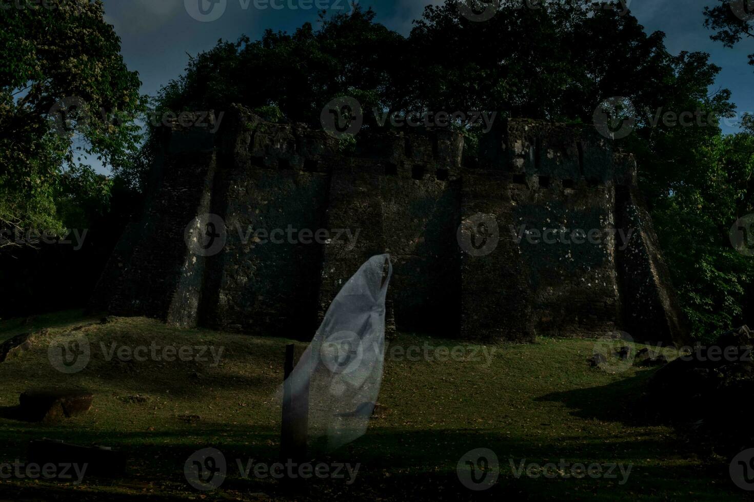 Low key image a blur white ghost under big tree in ancient forest. photo