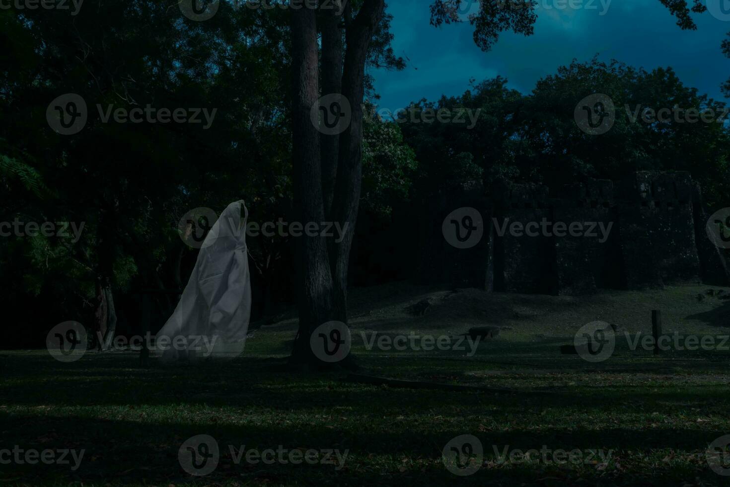 bajo llave imagen un difuminar blanco fantasma debajo grande árbol en antiguo bosque. foto