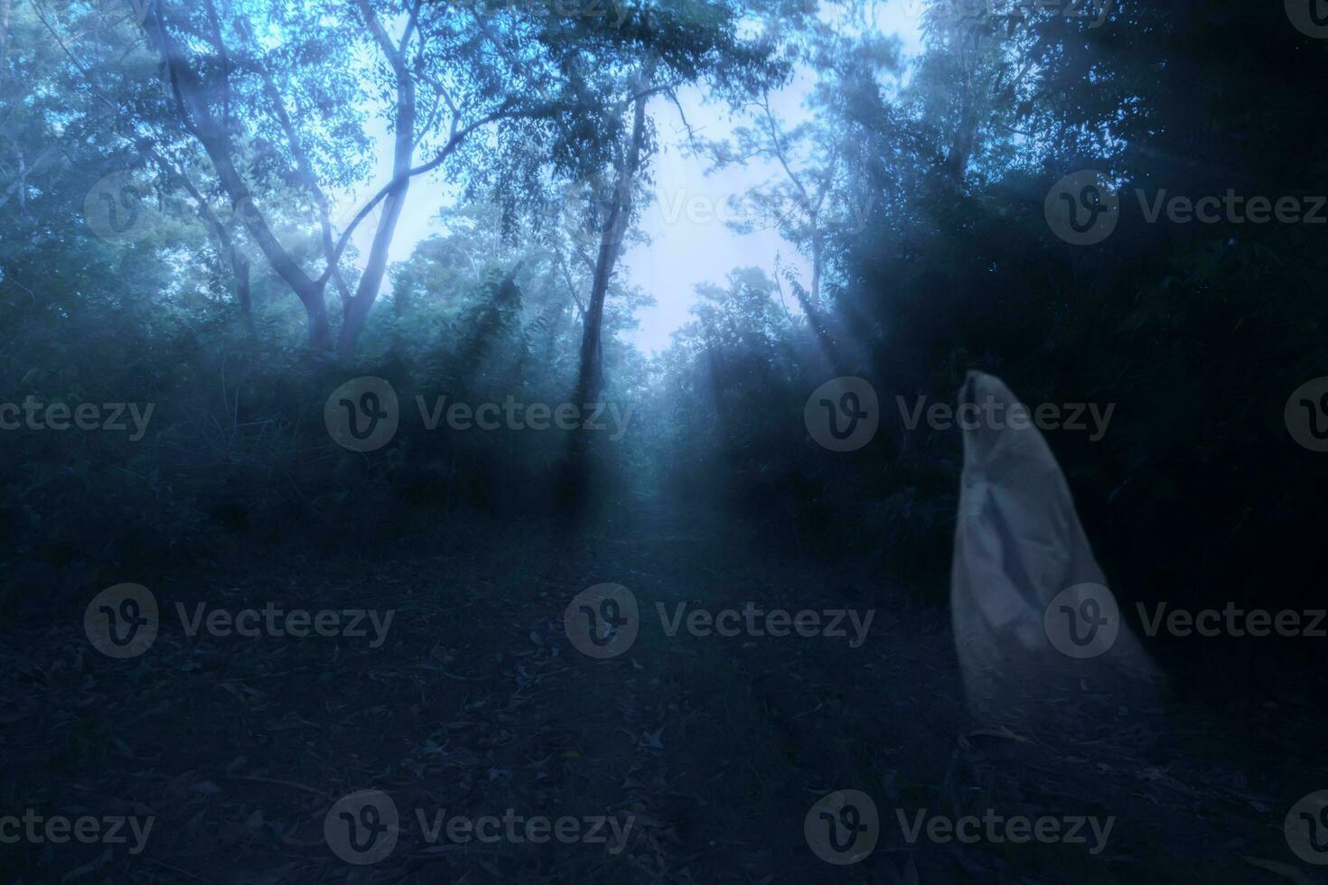 Low key image a blur white ghost in forest with light and mist. photo