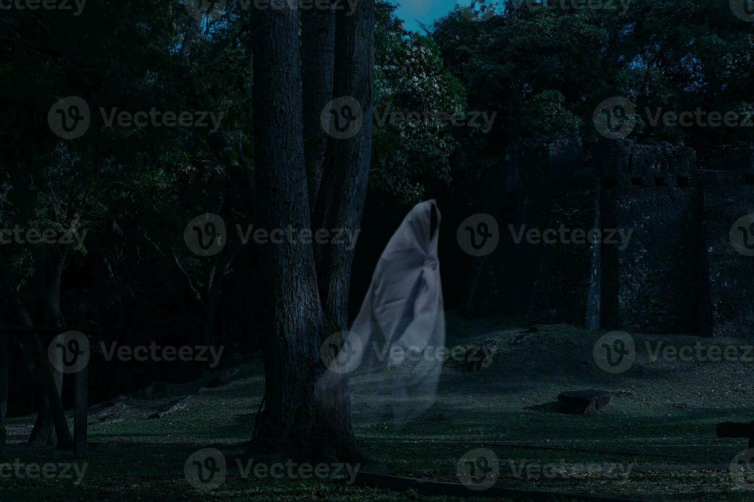 Low key image a blur white ghost under big tree in ancient forest. photo