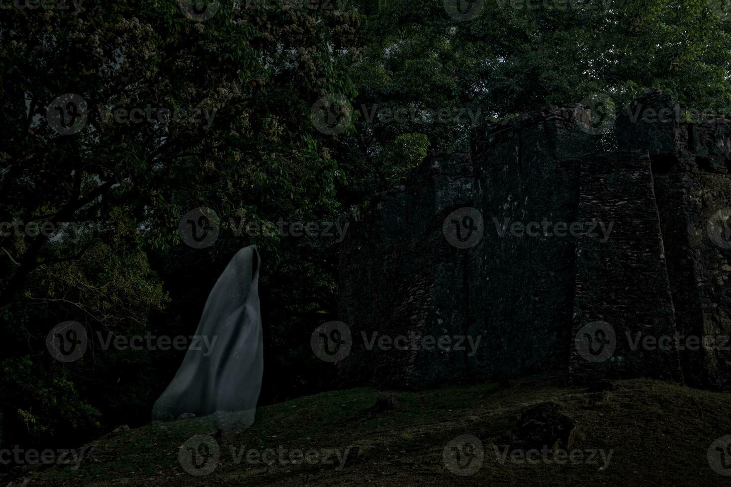 Low key image a blur white ghost under big tree in ancient forest. photo