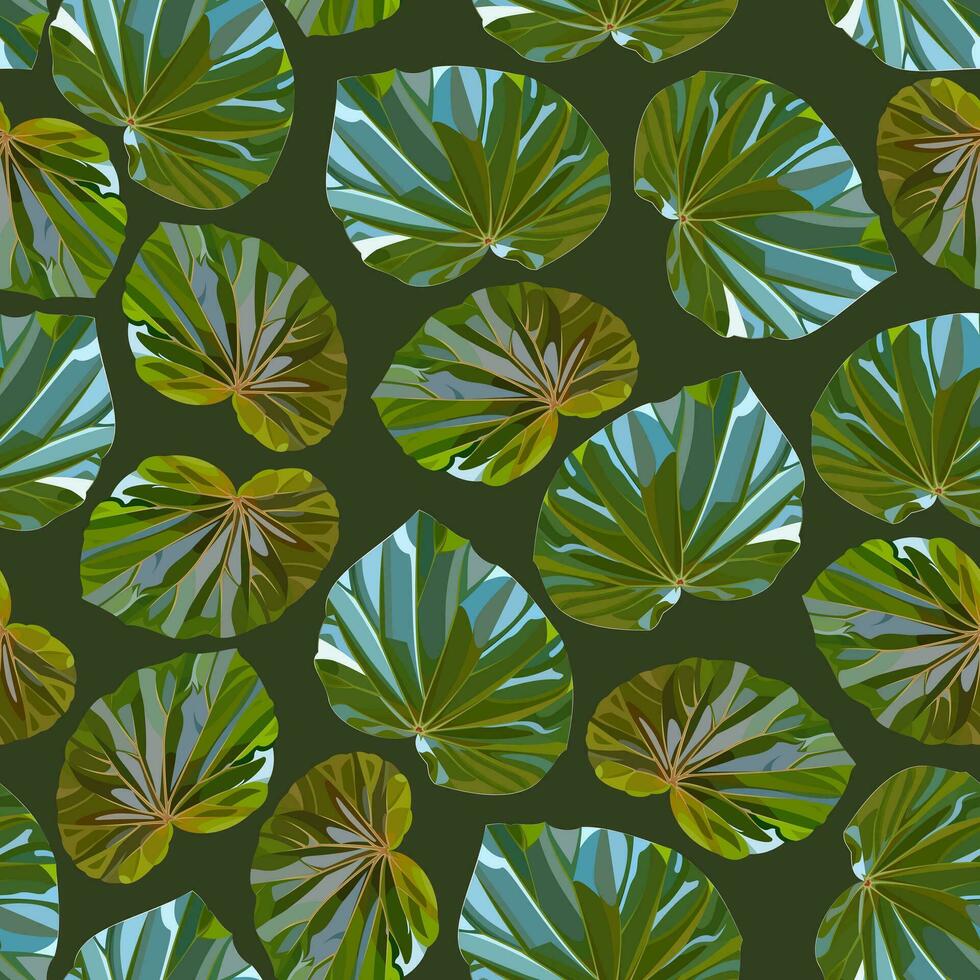 Seamless pattern with begonia leaves on a dark background vector