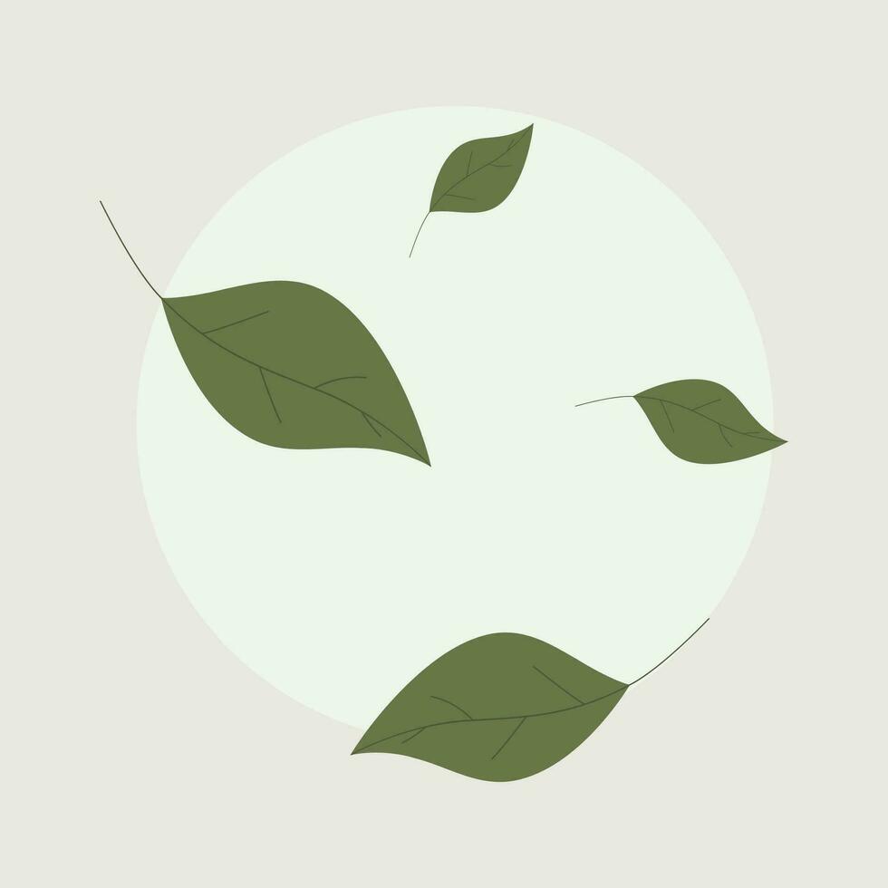 Green falling leaves of tea, mint. on a green background. vector