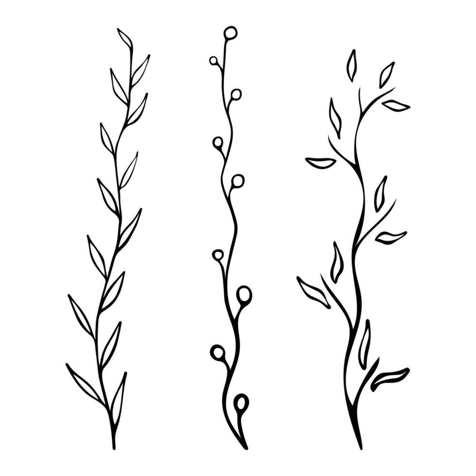 Set of wild plants, branches on a white background. vector