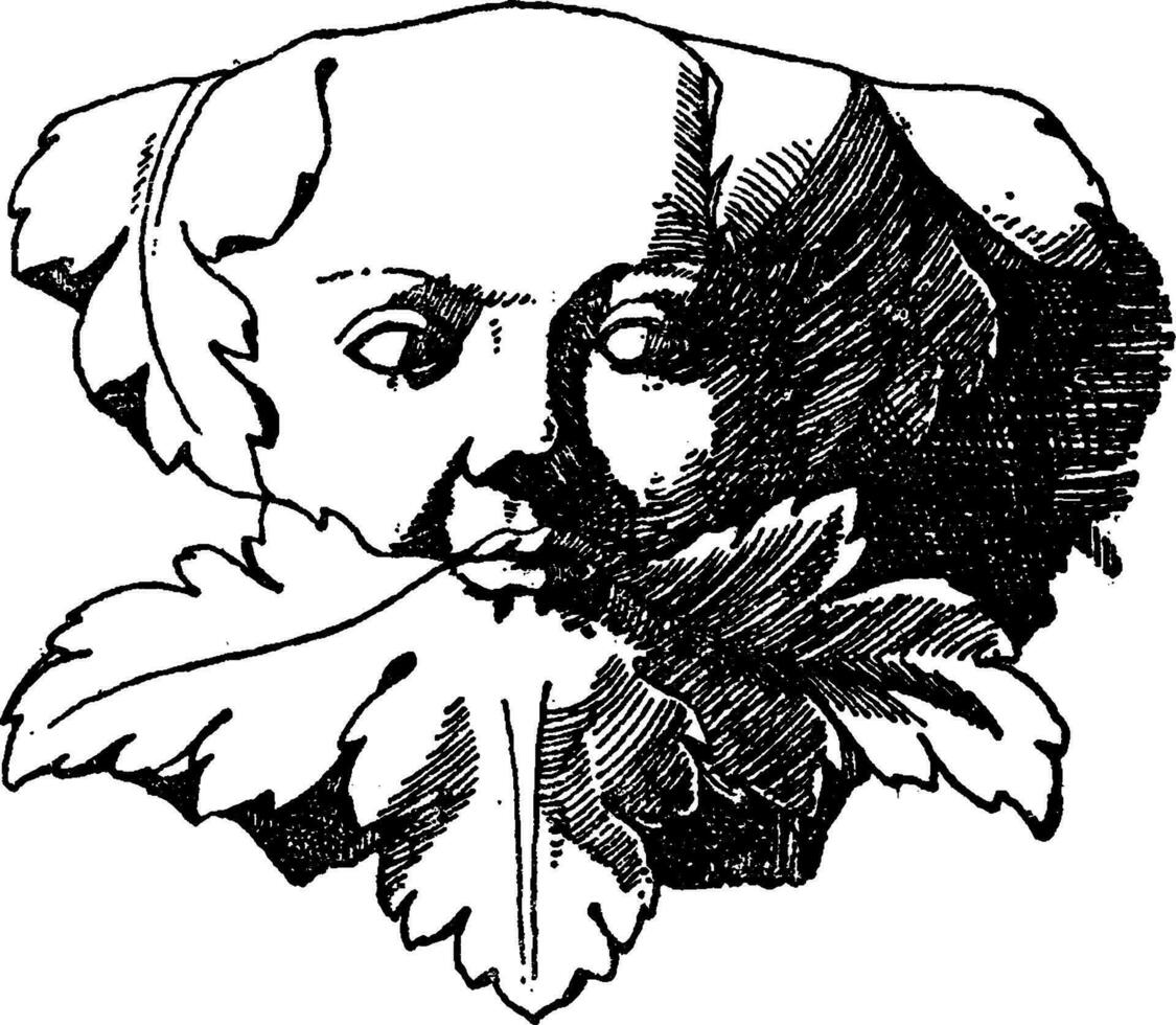 Pilaster Grotesque Mask, vintage engraving. vector