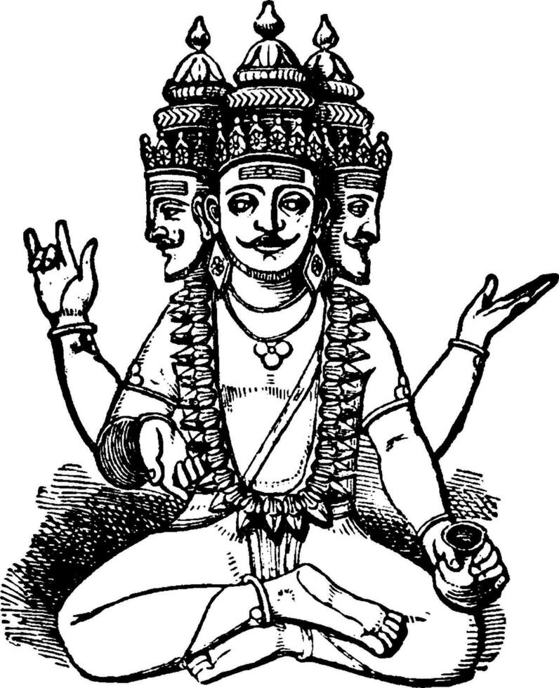 Brahma vintage illustration. vector