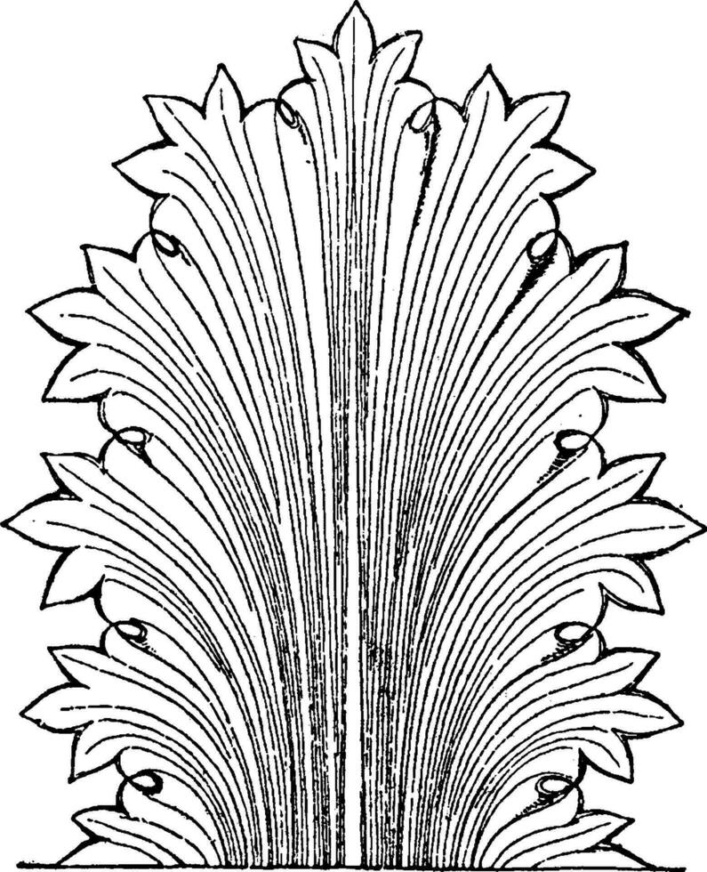Greek Leaf has pointed leaf-edges, vintage engraving. vector