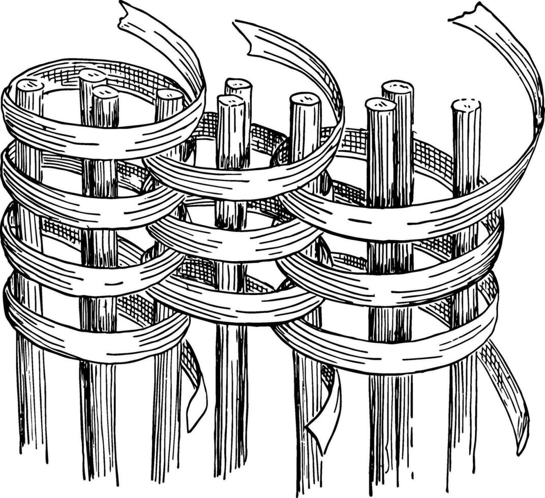 Coiled Work Basket Weave are made by sewing over, vintage engraving. vector