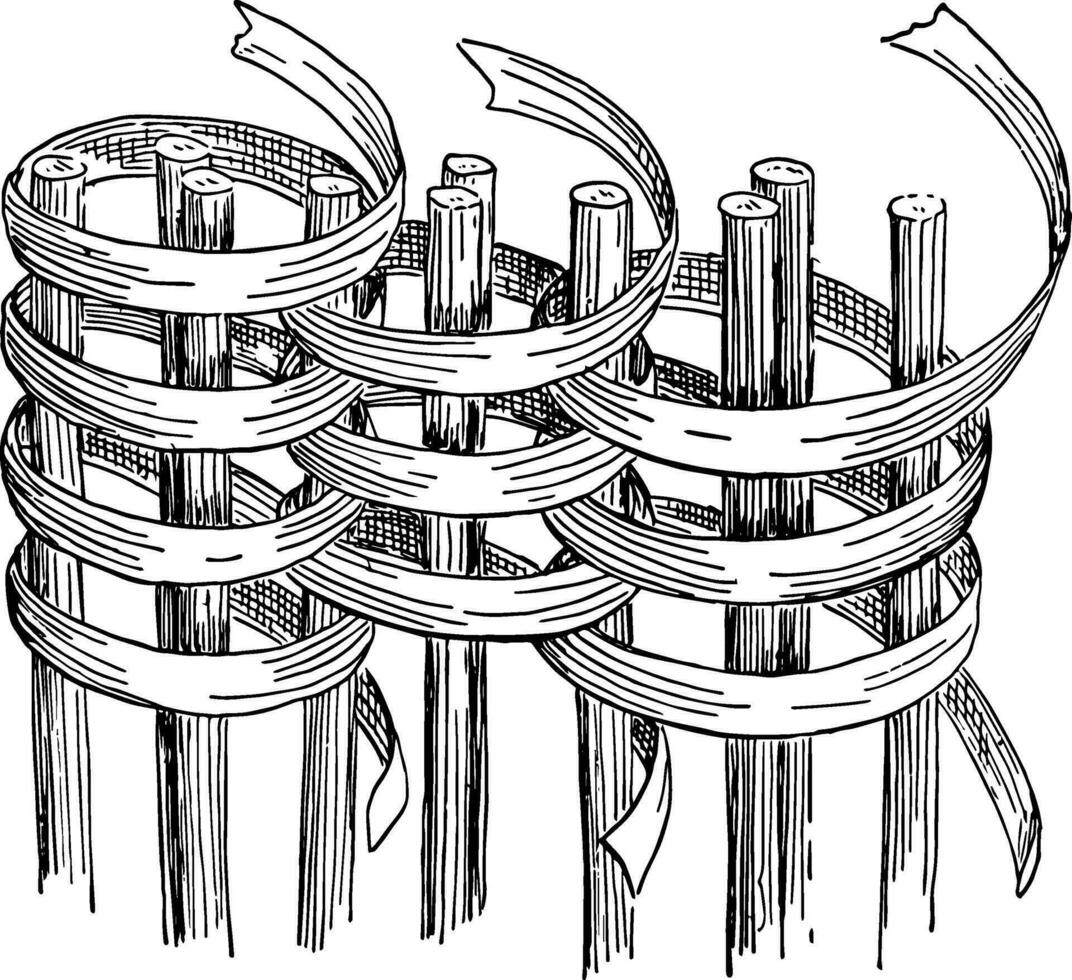 enroscado trabajo cesta tejido son hecho por de coser encima, Clásico grabado. vector
