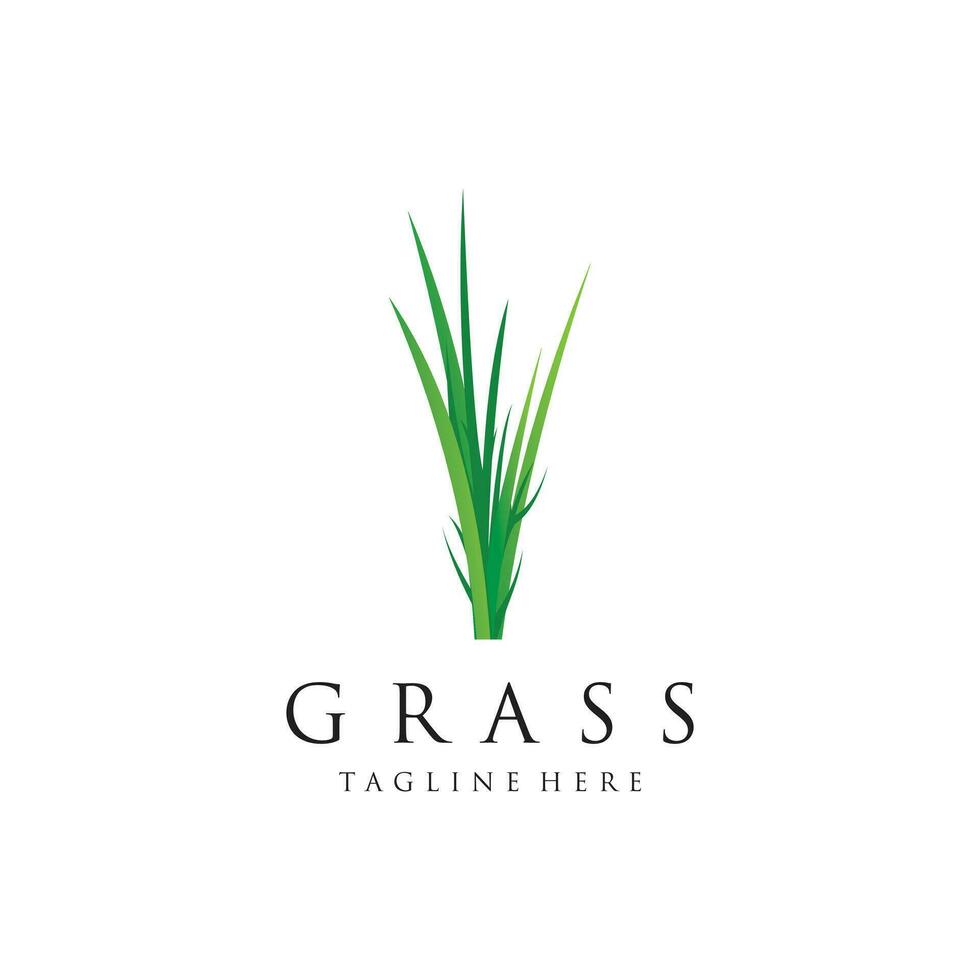 Grass logo design template vector illustration with creative idea