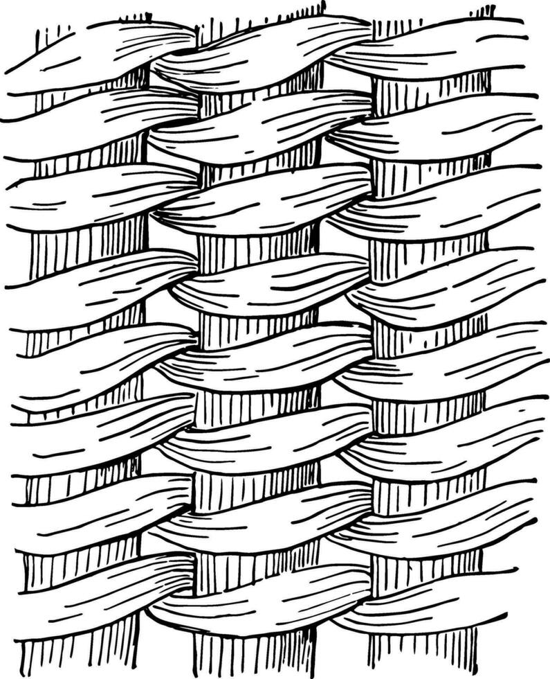 entrelazado trabajo cesta tejido, el más intrincado y además el más hermosa de todas estilos de Costura, Clásico grabado. vector