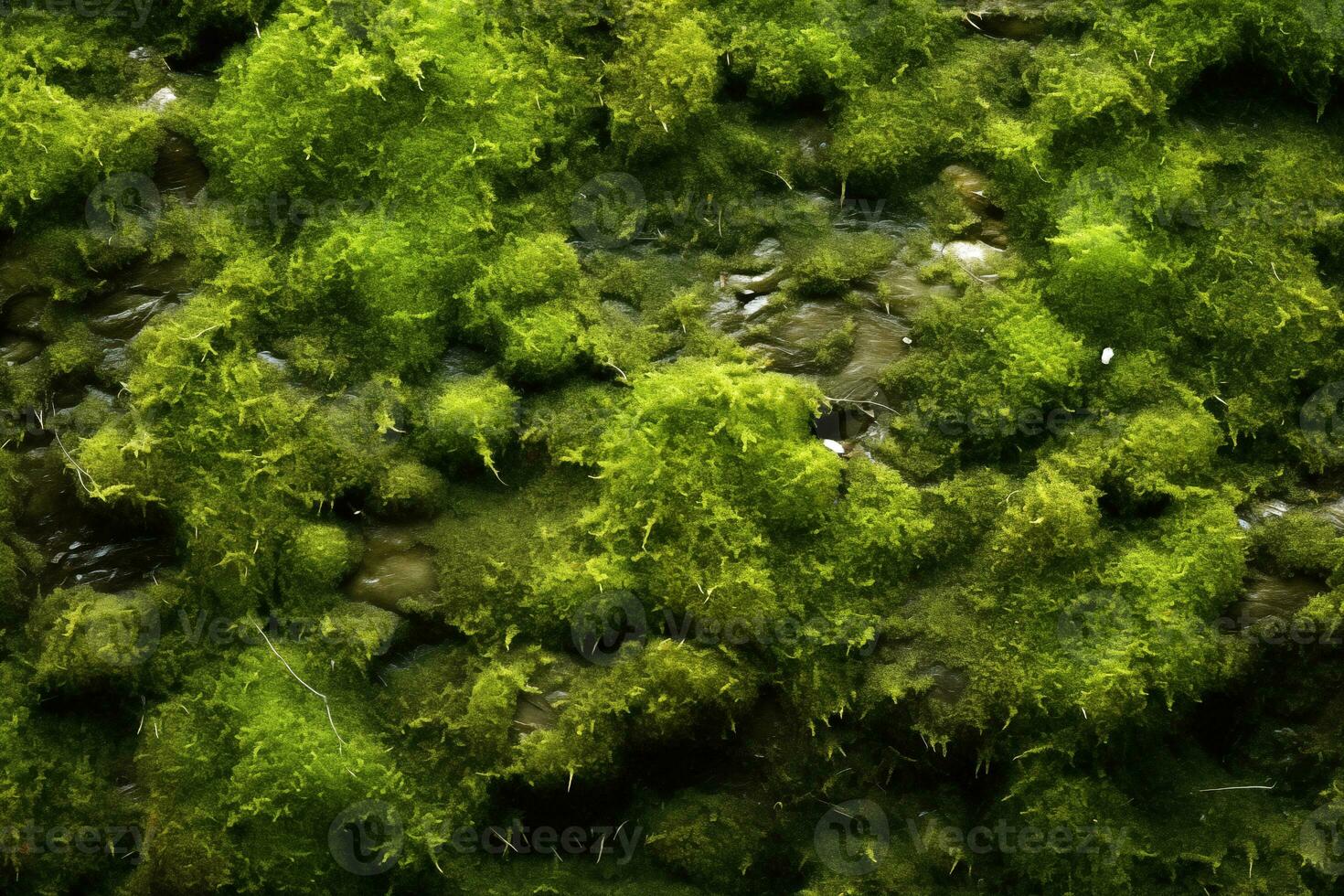 AI generated moss background, mossy stone surface texture photo