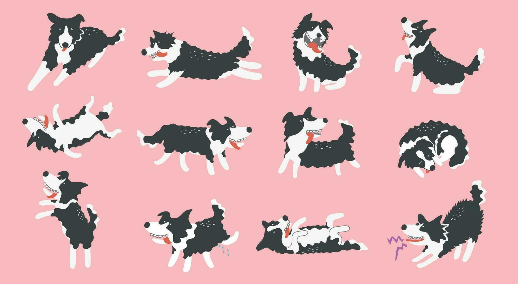 Set of Cute Cartoon Border Collie Dogs , Cartoon Dog Character Design with Flat Colors in Various Poses vector