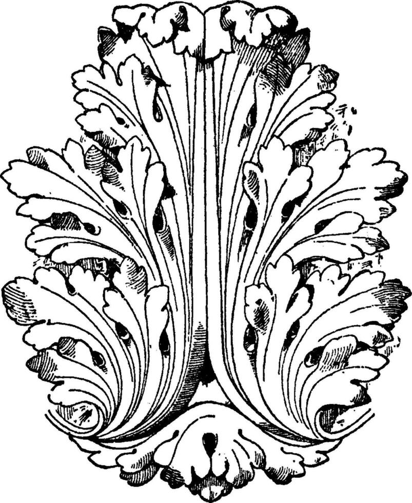 estilo de Luis xvi hoja tiene un general naturalista estilo, Clásico grabado. vector
