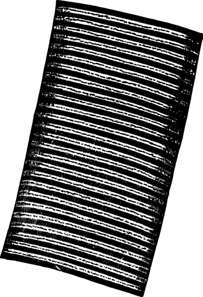 Fiber of Muscular Tissue Showing Alternating Bands, vintage illustration. vector