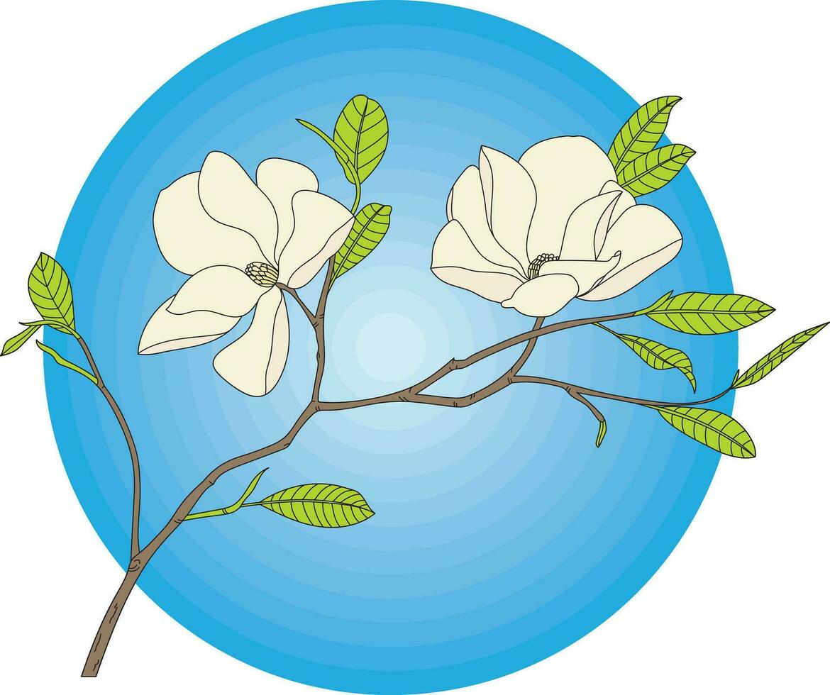 ilustración de el magnolia flor con hojas en azul circulo antecedentes. vector