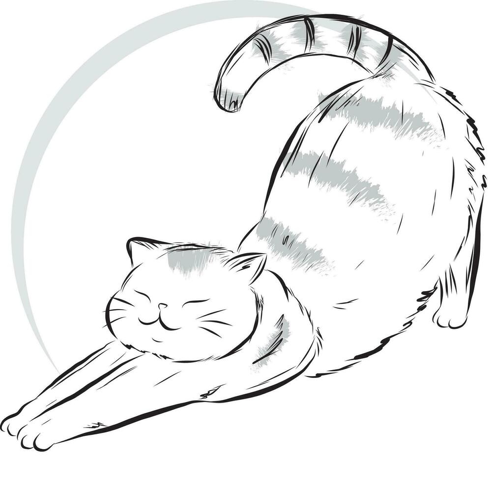 Illustration of cat doing exercise with circle on empty background. vector