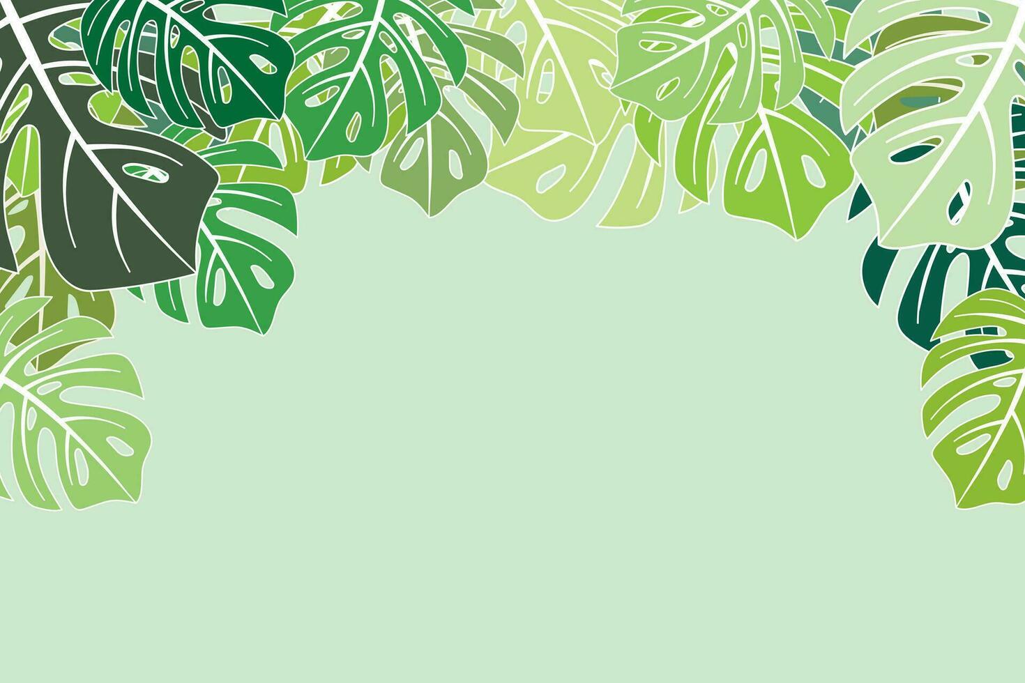 Illustration, Monstera leaves on soft green background. vector