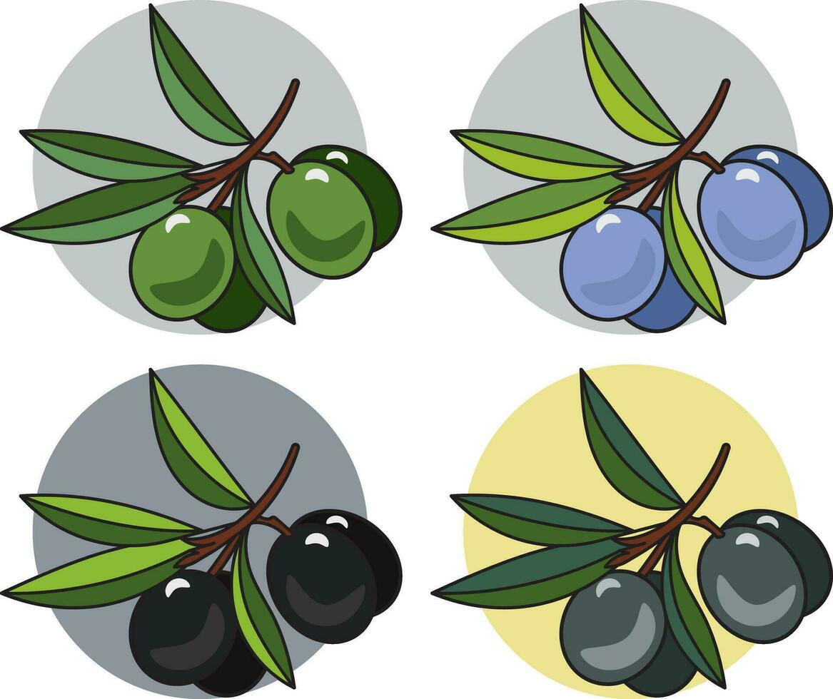 Illustration of Olive fruit on circle color background. vector